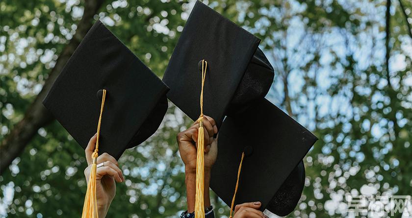 早标网,早标网论文降重,早标网官网,早标网论文降重系统,早标网论文查重检测系统